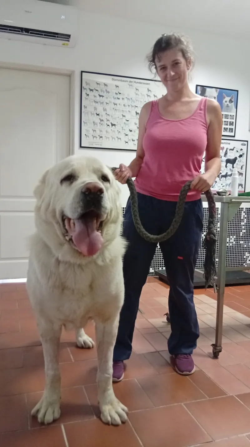 Petra Jaić s velikim bijelim psom u ordinaciji